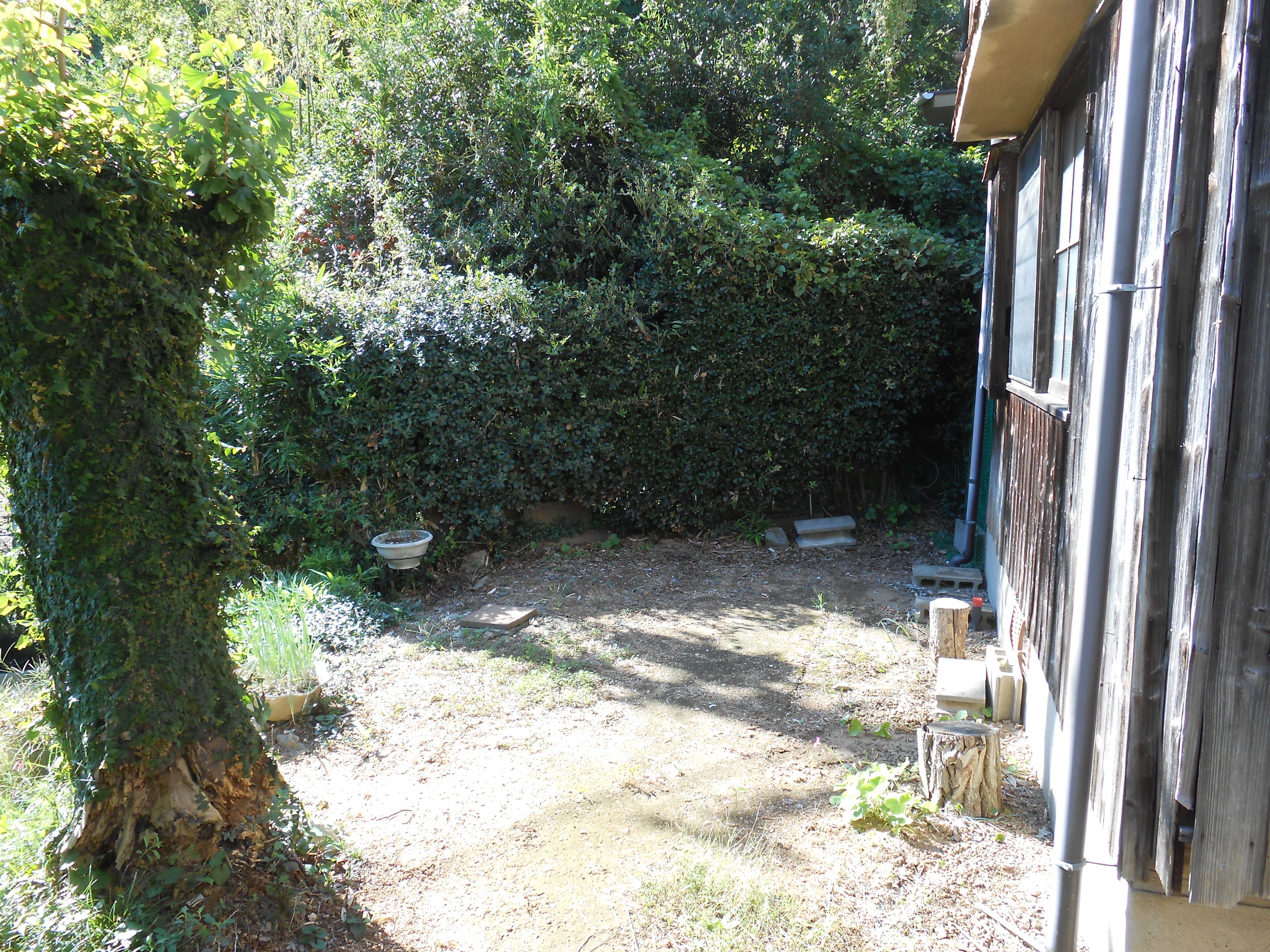 旧高本邸 中庭2