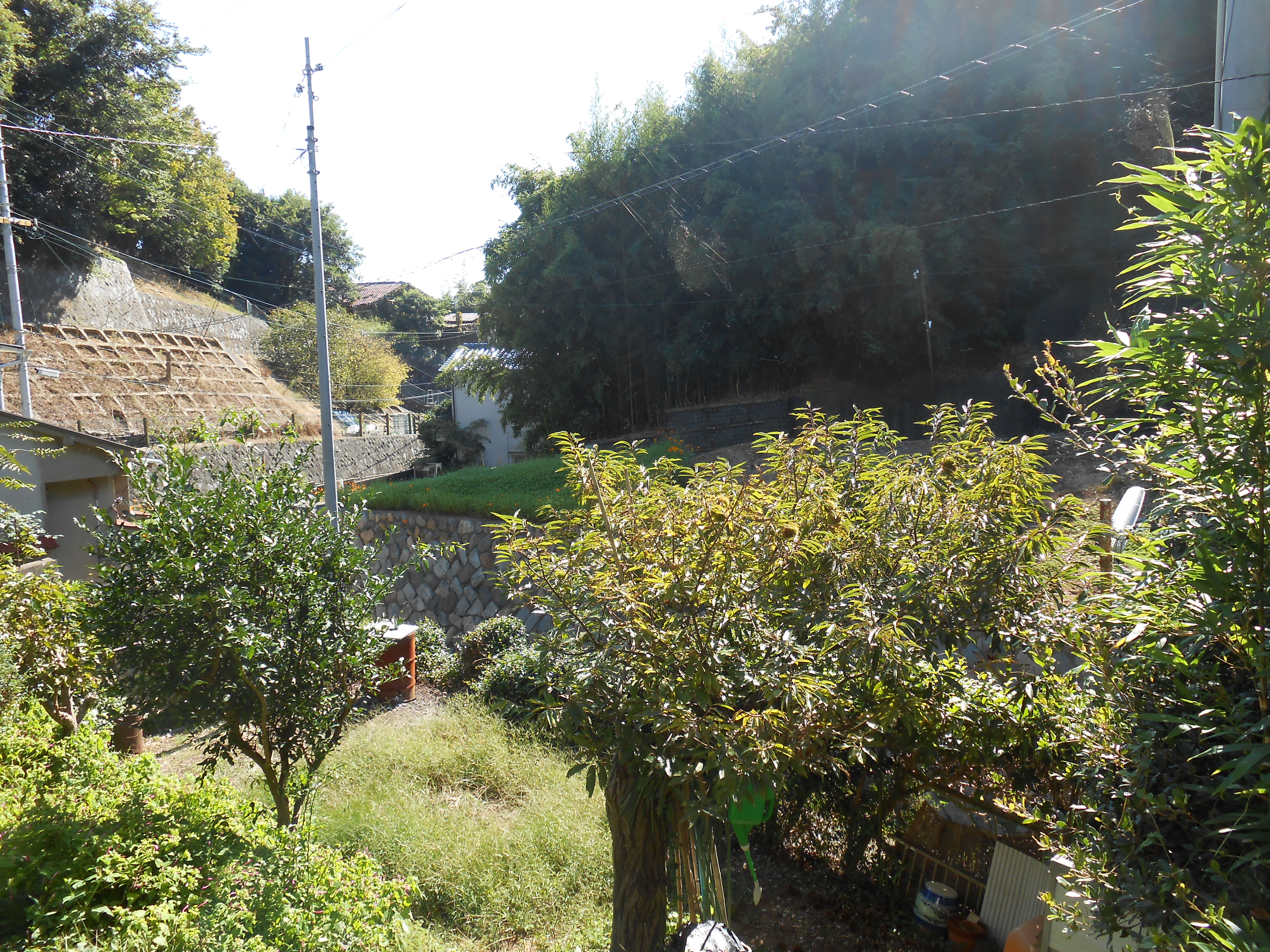 旧高本邸 家庭菜園