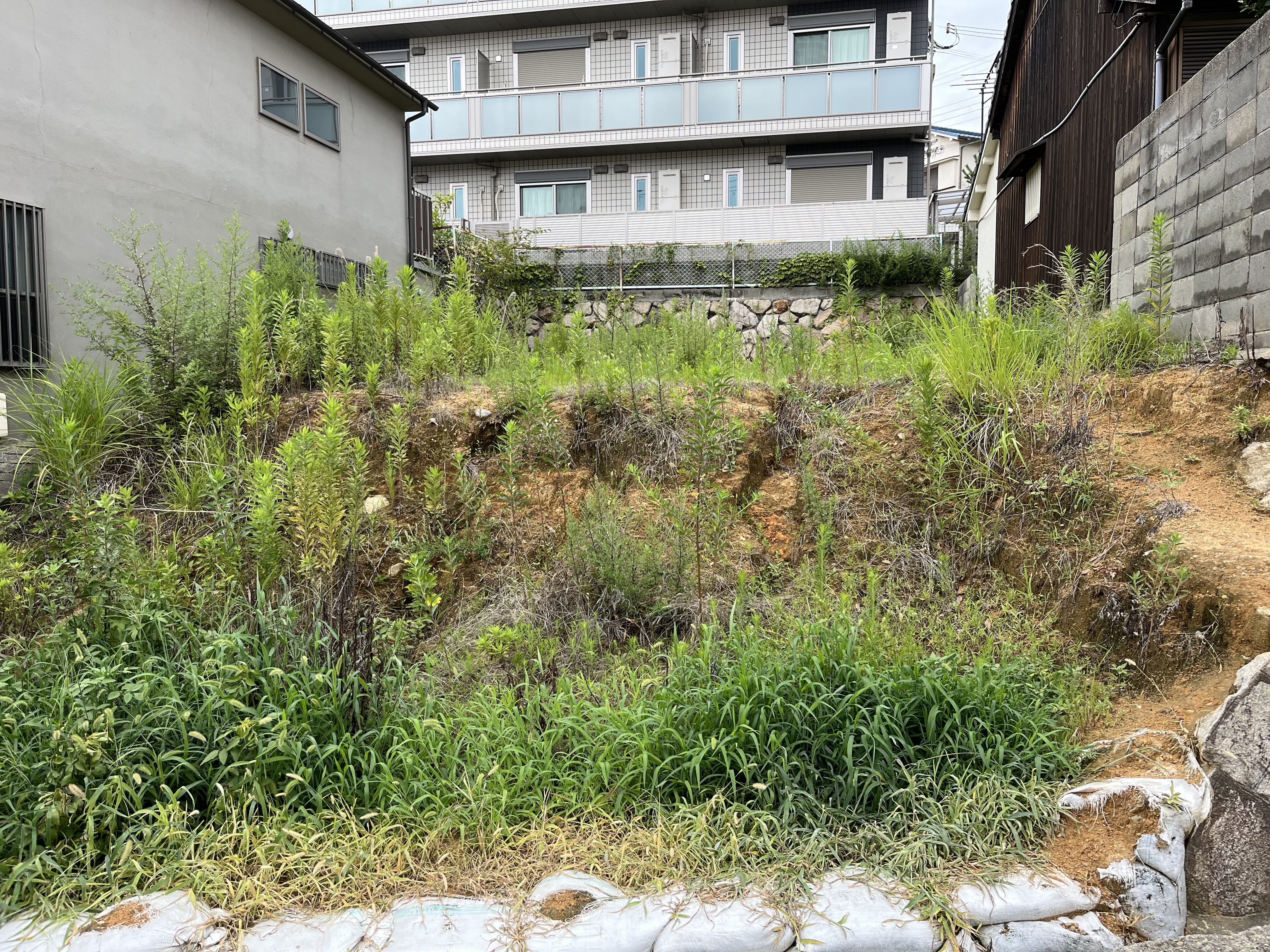 土地